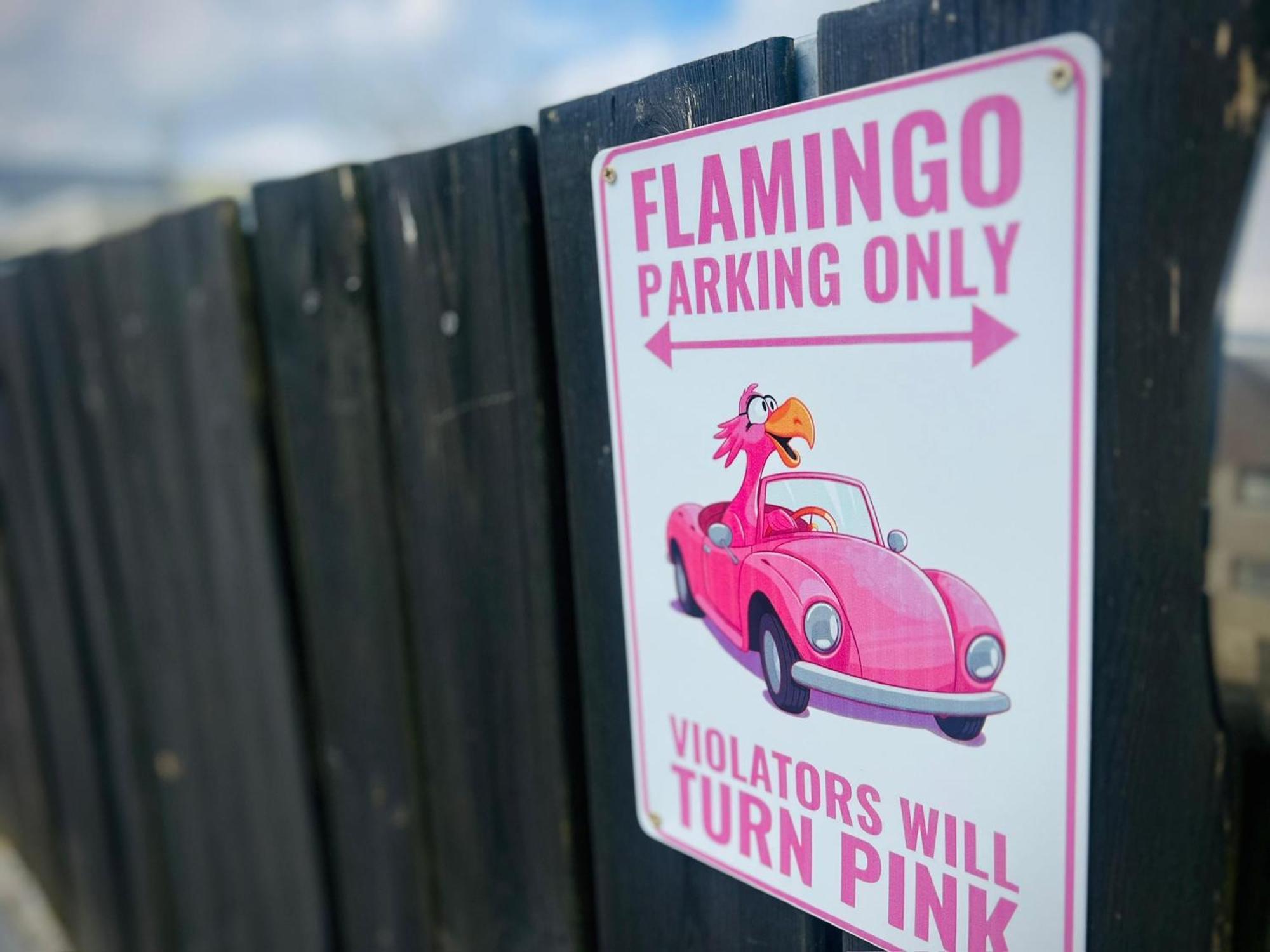 Flamingo Studio'S Zeeland Schoondijke エクステリア 写真